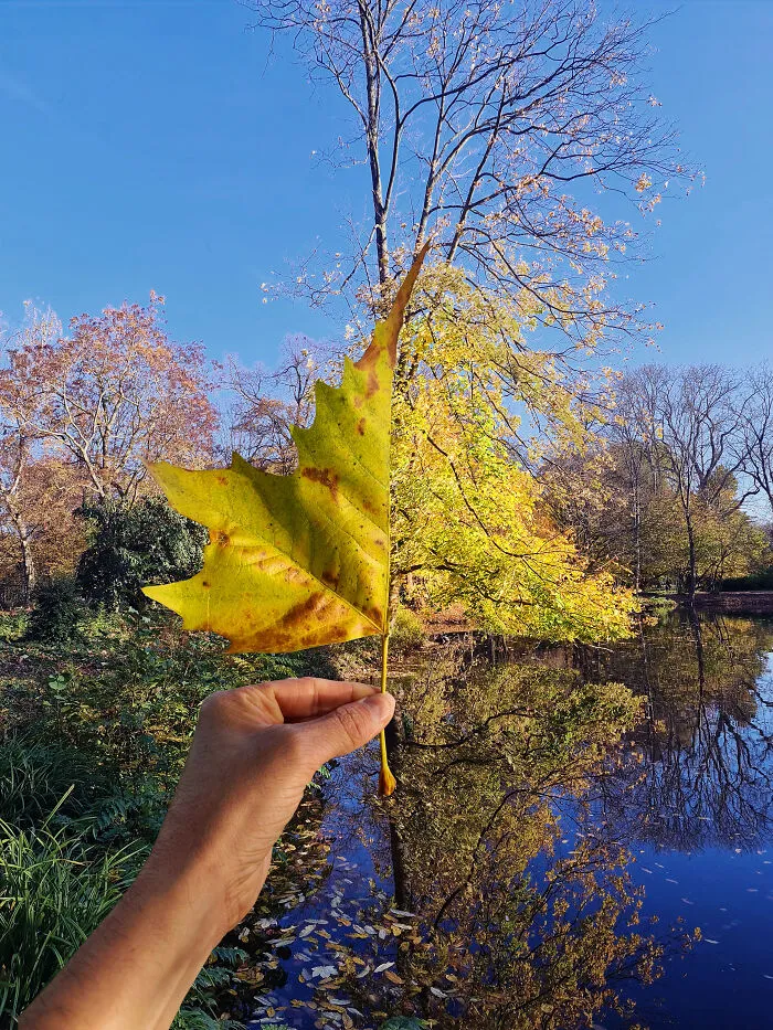 I Tried To Show How Playing With Perspective Can Change What We See (35 Pics)