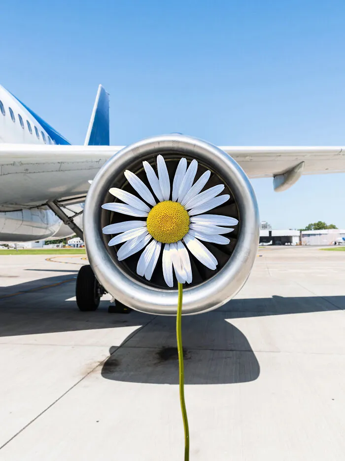 A daisy flower is perfectly placed within an airplane engine, showing a change in what we see through perspective.