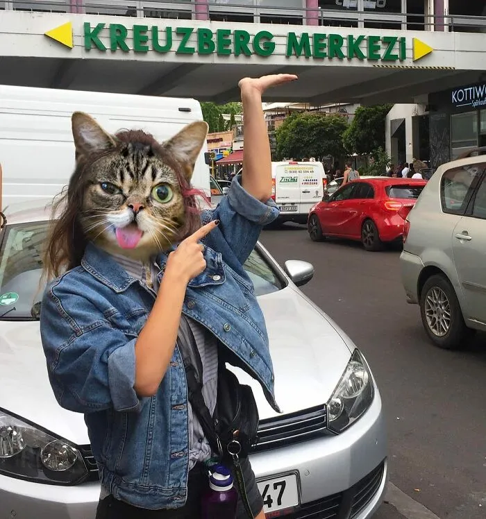 This Artist Creates Peculiar Collages Featuring Cat Photos, And Here Are His 30 Best Works