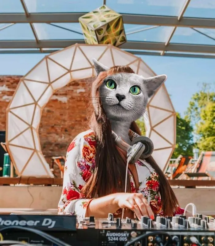 This Artist Creates Peculiar Collages Featuring Cat Photos, And Here Are His 30 Best Works