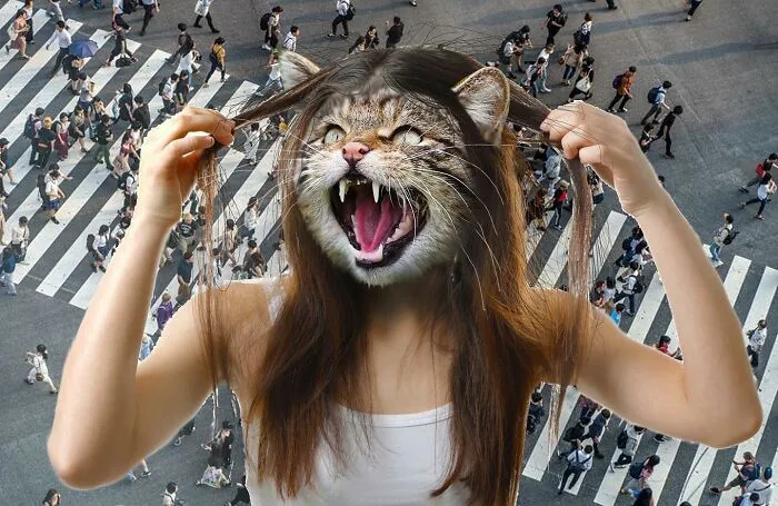 This Artist Creates Peculiar Collages Featuring Cat Photos, And Here Are His 30 Best Works