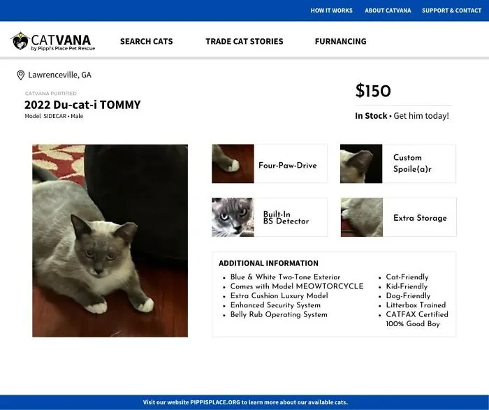 These 12 Shelter Cats Are Advertised As Cars For Sale, And The Result Is Hilarious