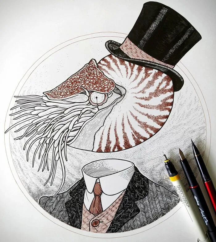 Dapper Cephalopod