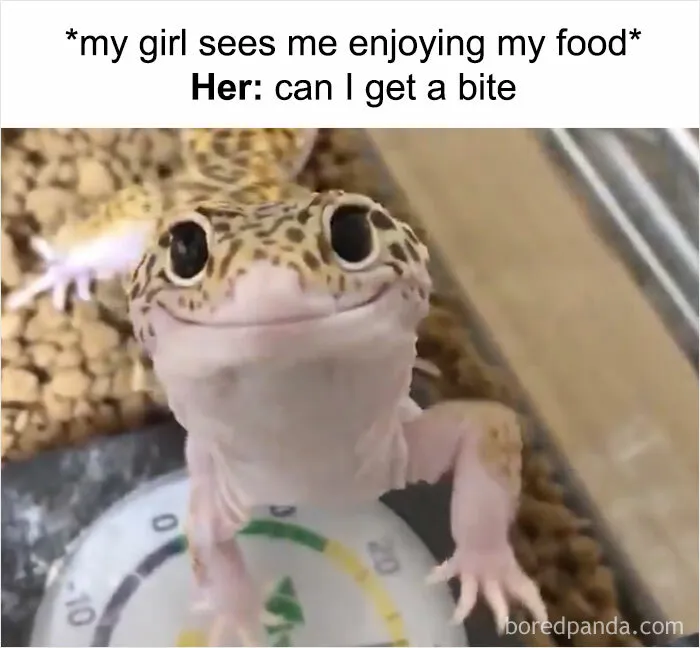 30 Funny And Relatable Memes From This Instagram Page That Perfectly Sum Up Relationships