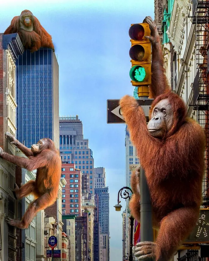 These Artists Create Surreal Photo Edits With Giant Animals In Them (16 Pics)