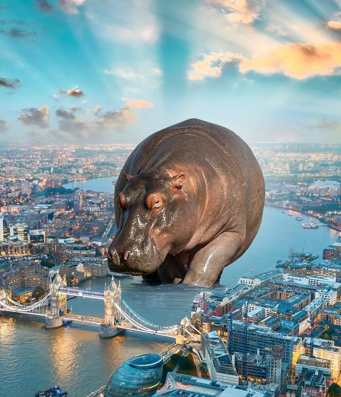 These Artists Create Surreal Photo Edits With Giant Animals In Them (16 Pics)