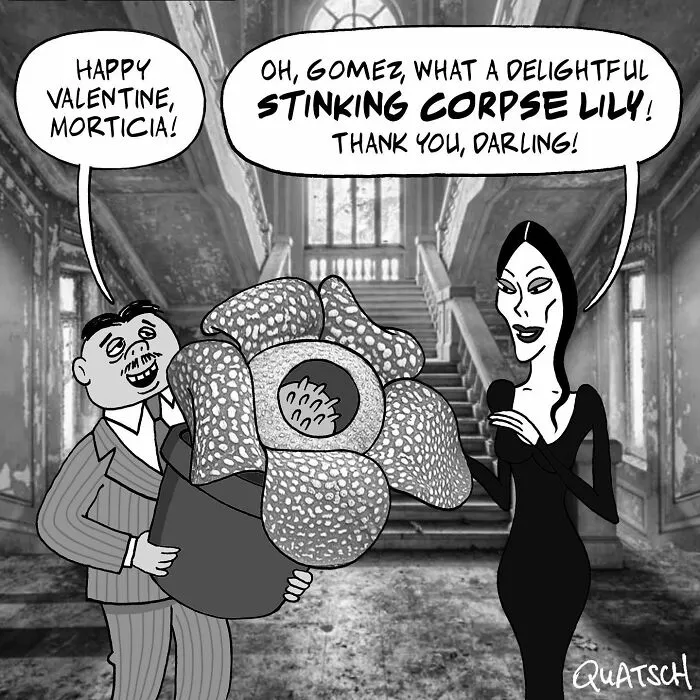 This Comics Artist Illustrates Absurd And Fun Situations In The Human And Animal Worlds (24 New Pics)