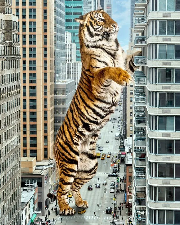 These Artists Create Surreal Photo Edits With Giant Animals In Them (16 Pics)
