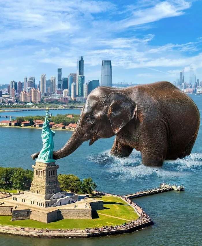 These Artists Create Surreal Photo Edits With Giant Animals In Them (16 Pics)