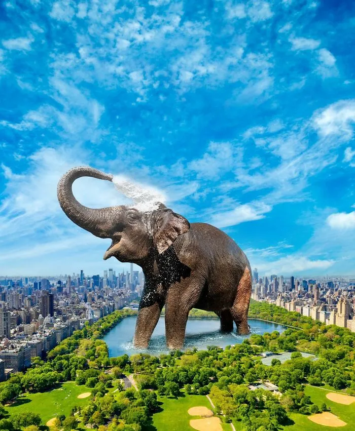 These Artists Create Surreal Photo Edits With Giant Animals In Them (16 Pics)