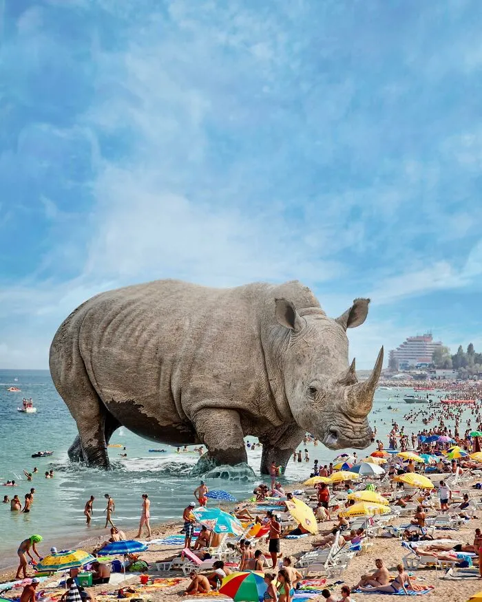 These Artists Create Surreal Photo Edits With Giant Animals In Them (16 Pics)