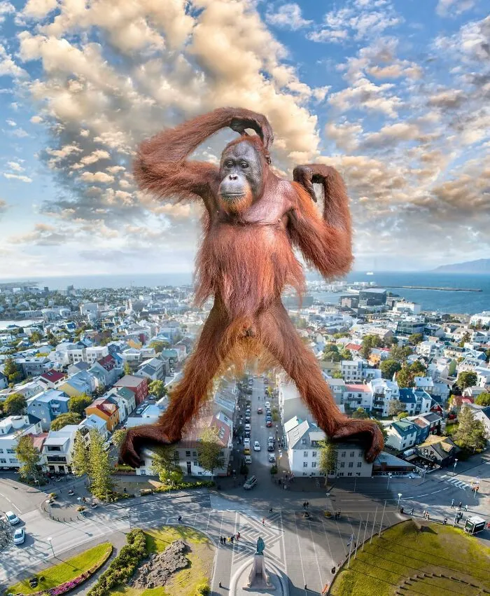 These Artists Create Surreal Photo Edits With Giant Animals In Them (16 Pics)