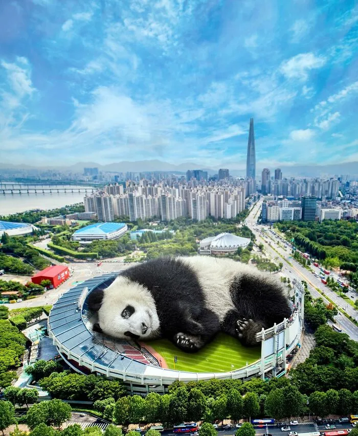 These Artists Create Surreal Photo Edits With Giant Animals In Them (16 Pics)