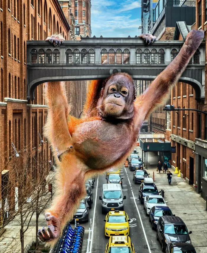 These Artists Create Surreal Photo Edits With Giant Animals In Them (16 Pics)