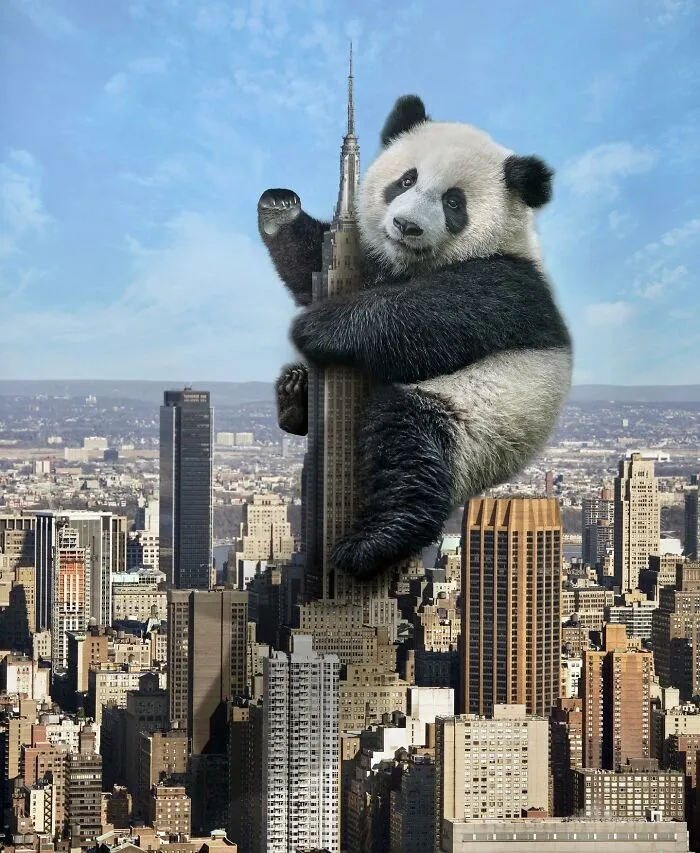 These Artists Create Surreal Photo Edits With Giant Animals In Them (16 Pics)