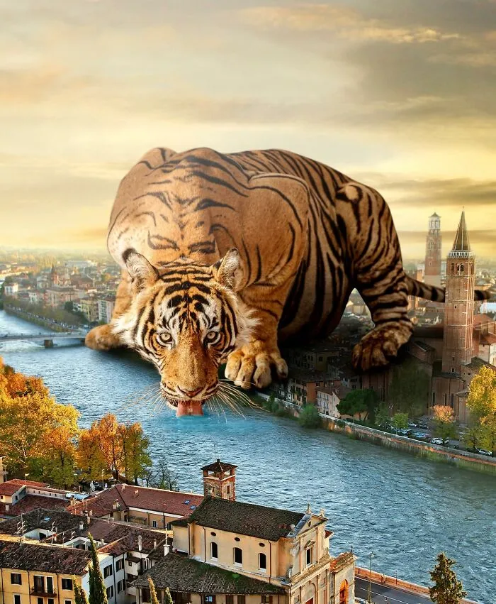 These Artists Create Surreal Photo Edits With Giant Animals In Them (16 Pics)
