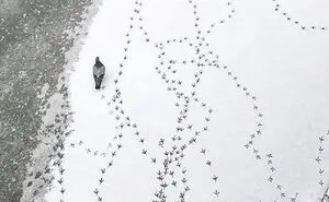 35 Selected Best Images Of Animals, As Shared By This Instagram Page