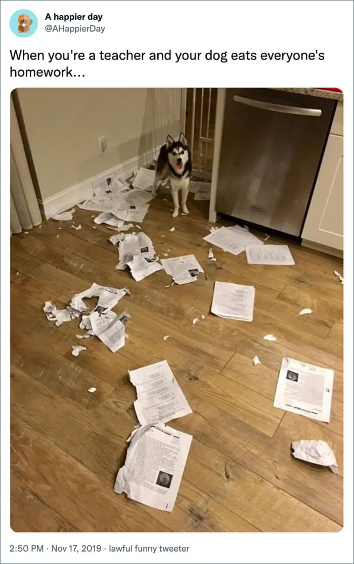 Dog surrounded by torn homework papers in a kitchen, part of a humorous science meme.