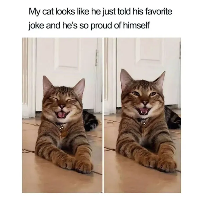 50 Wholesome Memes And Posts That Remind Us The World Isn’t All Bad, As Shared In This Facebook Group