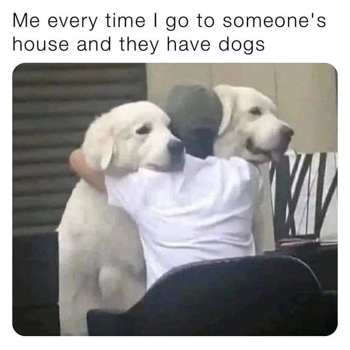 50 Wholesome Memes And Posts That Remind Us The World Isn’t All Bad, As Shared In This Facebook Group