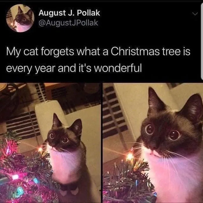 50 Wholesome Memes And Posts That Remind Us The World Isn’t All Bad, As Shared In This Facebook Group