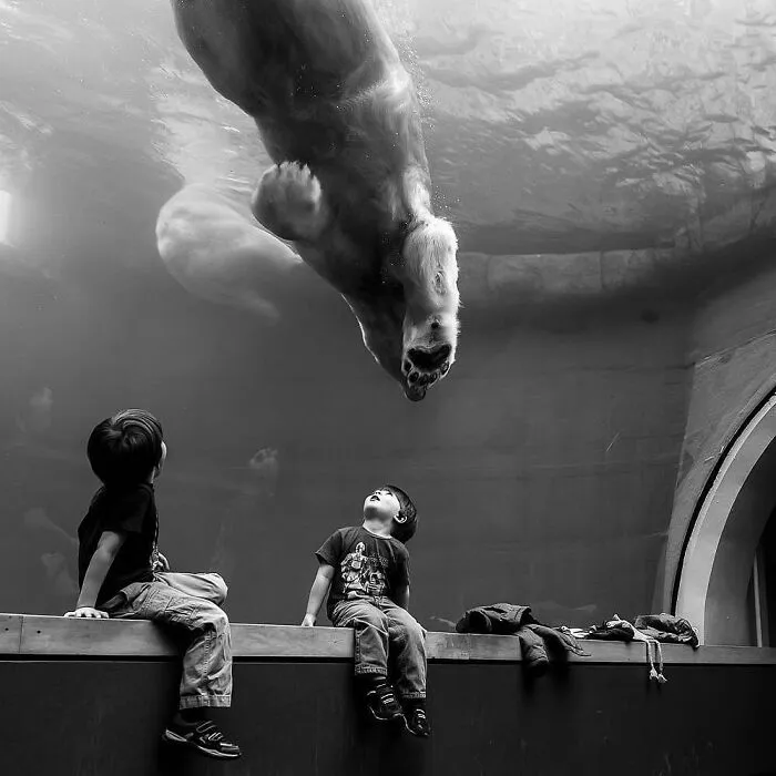 Las 35 mejores imágenes de animales compartidas por esta página de Instagram