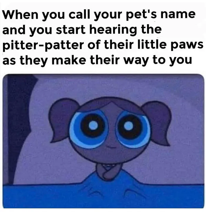 50 Wholesome Memes And Posts That Remind Us The World Isn’t All Bad, As Shared In This Facebook Group