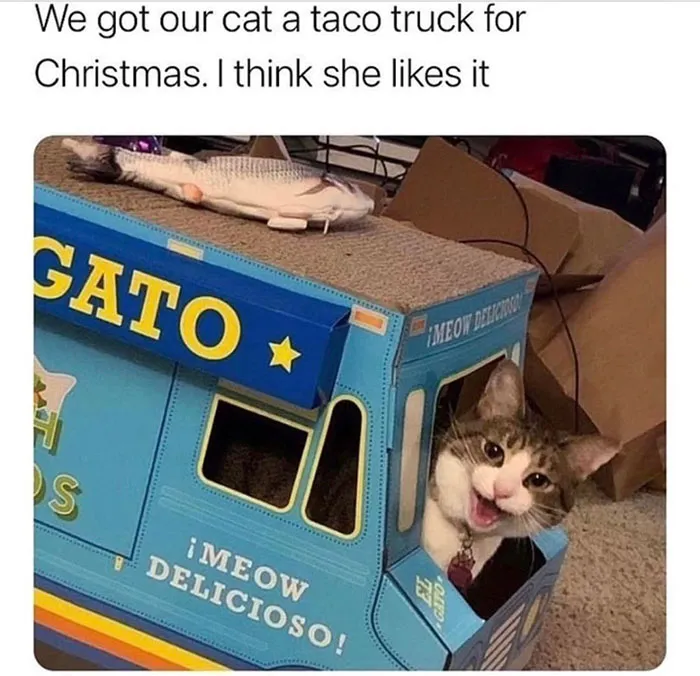 50 Wholesome Memes And Posts That Remind Us The World Isn’t All Bad, As Shared In This Facebook Group