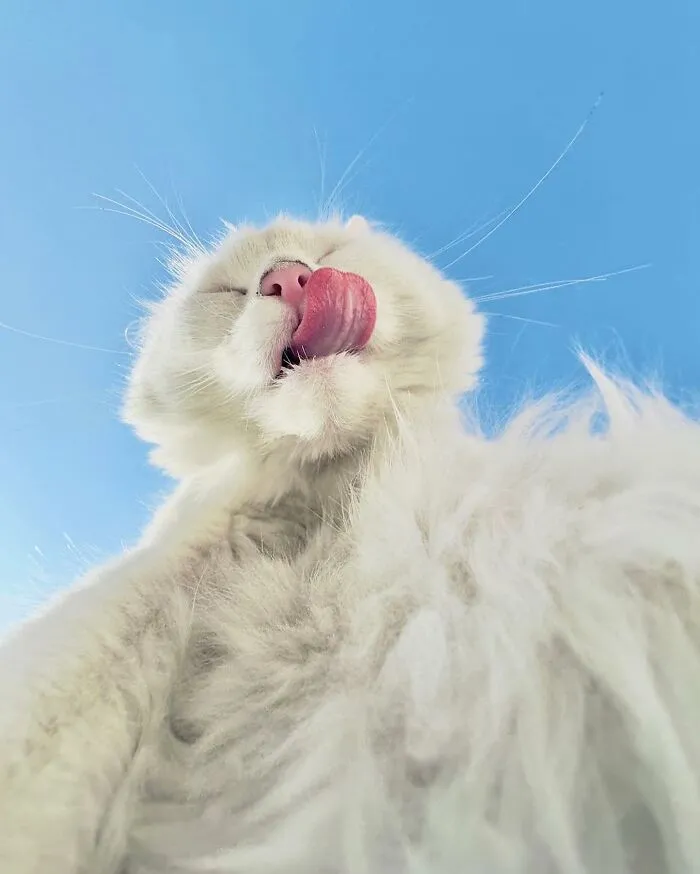 35 Selected Best Images Of Animals, As Shared By This Instagram Page