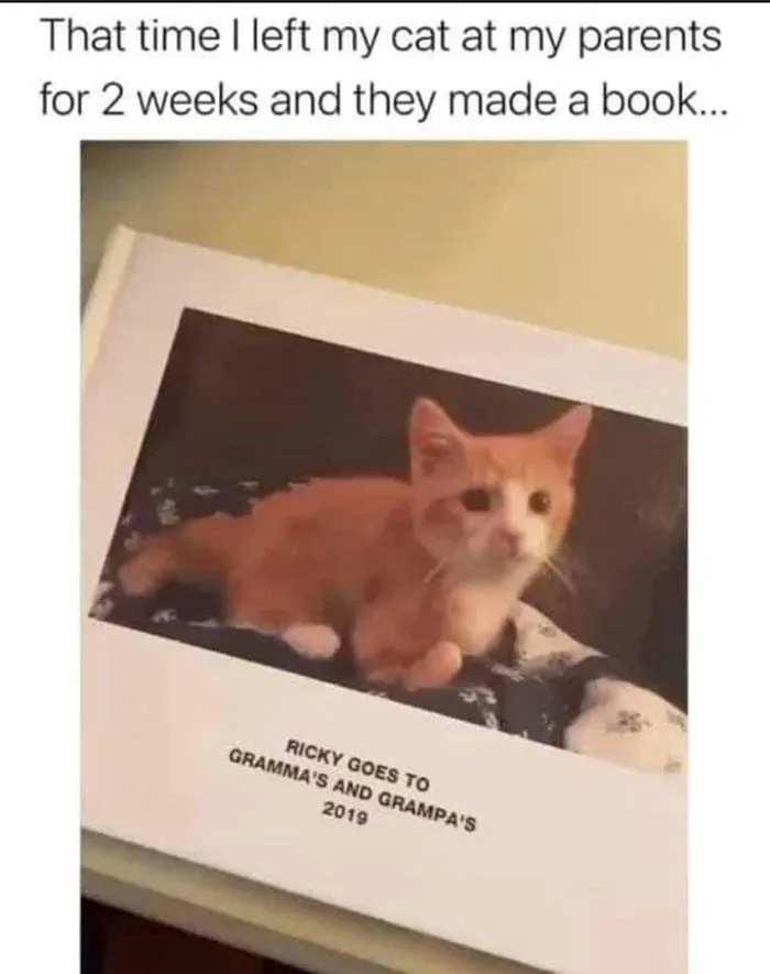 50 Wholesome Memes And Posts That Remind Us The World Isn’t All Bad, As Shared In This Facebook Group