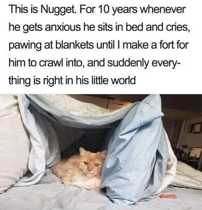 50 Wholesome Memes And Posts That Remind Us The World Isn’t All Bad, As Shared In This Facebook Group