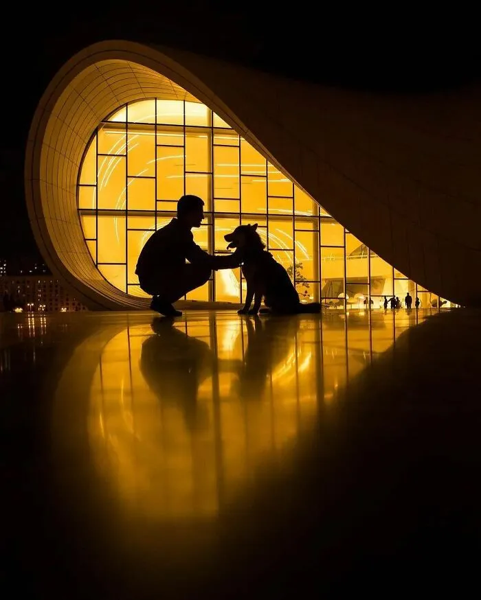 Las 35 mejores imágenes de animales compartidas por esta página de Instagram