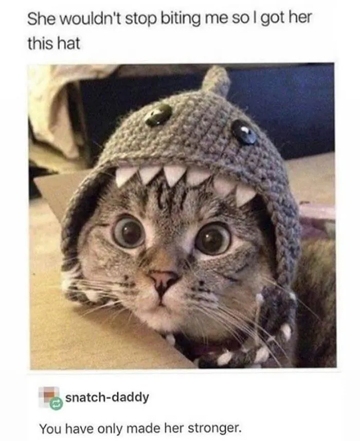 50 Wholesome Memes And Posts That Remind Us The World Isn’t All Bad, As Shared In This Facebook Group