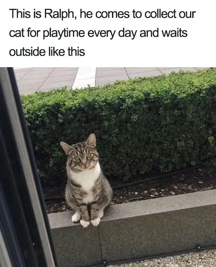 Funny-Wholesome-Pics-And-Memes