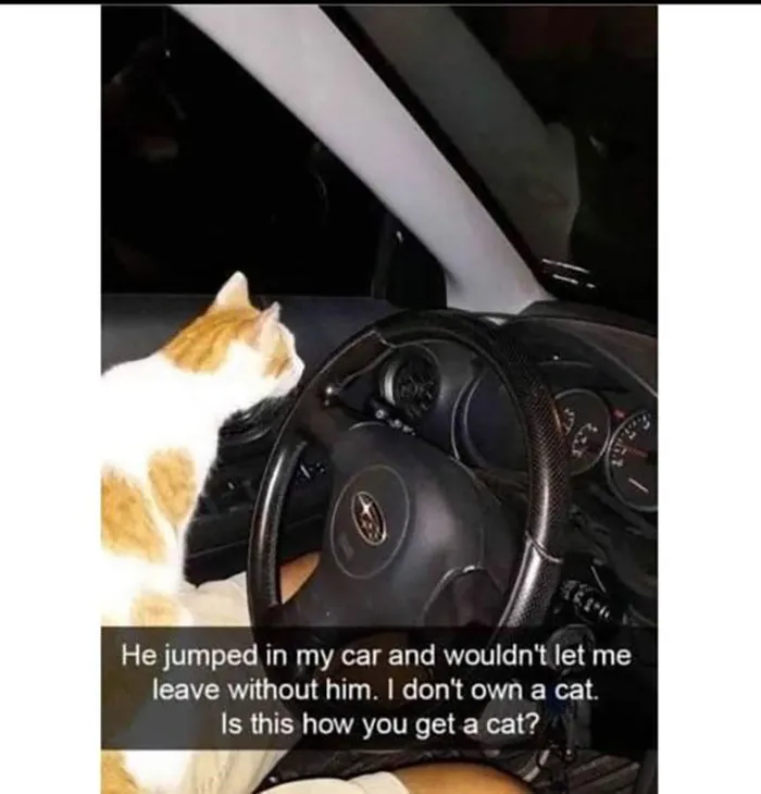 50 Wholesome Memes And Posts That Remind Us The World Isn’t All Bad, As Shared In This Facebook Group