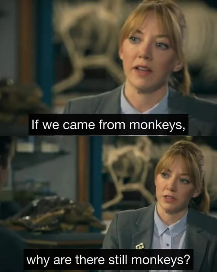 Why Are There Still Monkeys?