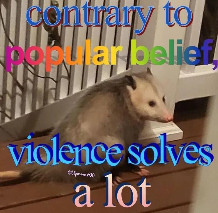 13 Possum Memes For My Mentally Dying Besties