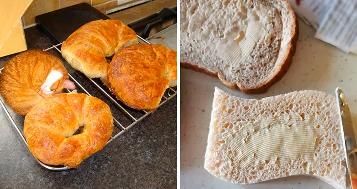 35 "Alimentos" de aspecto delicioso que nunca deberías comer (nuevas fotos)