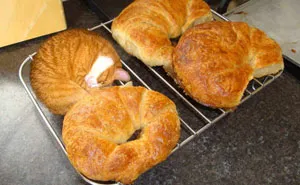 50 Delicious-Looking 'Foods' You Should Never Ever Eat (New Pics)