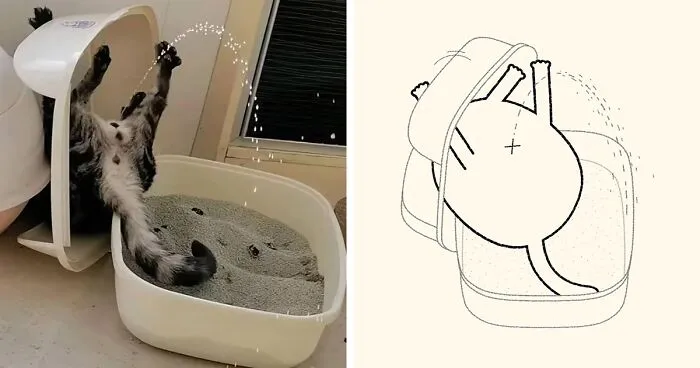 30 Of The Funniest Internet-Famous Cat Pics Get Illustrated By Daily Purrr (New Pics)