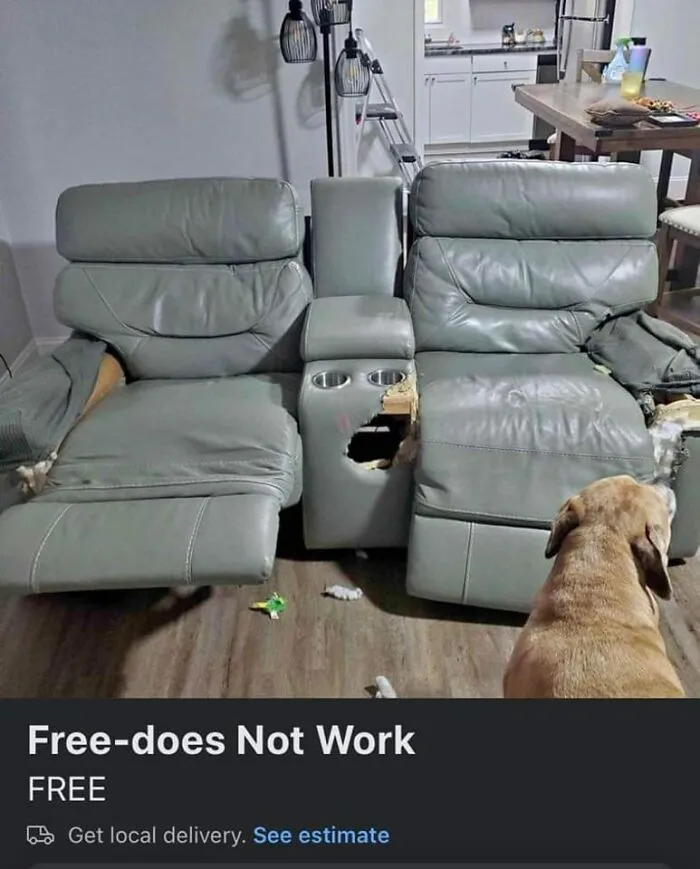 My Theory Is That The Dog Wrecked It And Then Quickly Put It Up For Sale Before Its Owner Got Home