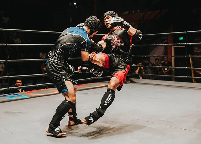 Street-Fighting Mathematics - MIT
