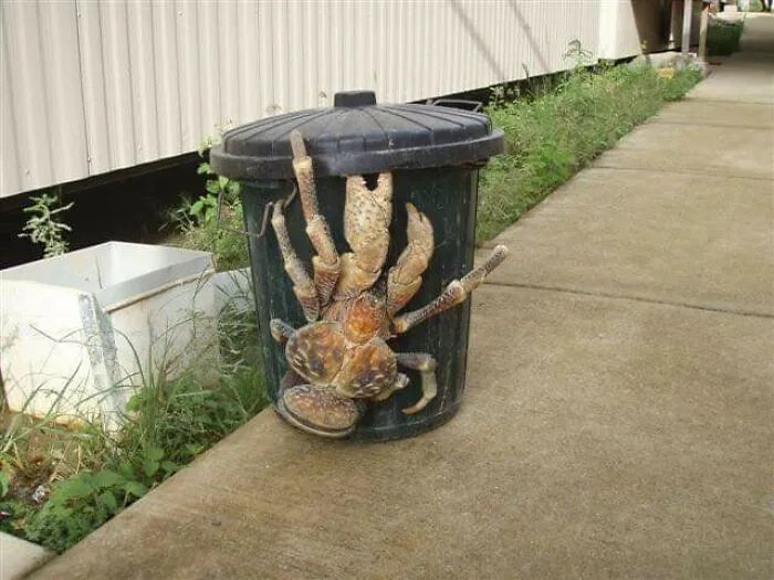 This “Unpleasant Images” Page Posts Exactly What’s Written On The Tin (30 Pics)