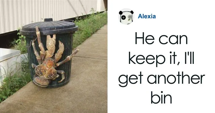 This “Unpleasant Images” Page Posts Exactly What’s Written On The Tin (30 Pics)