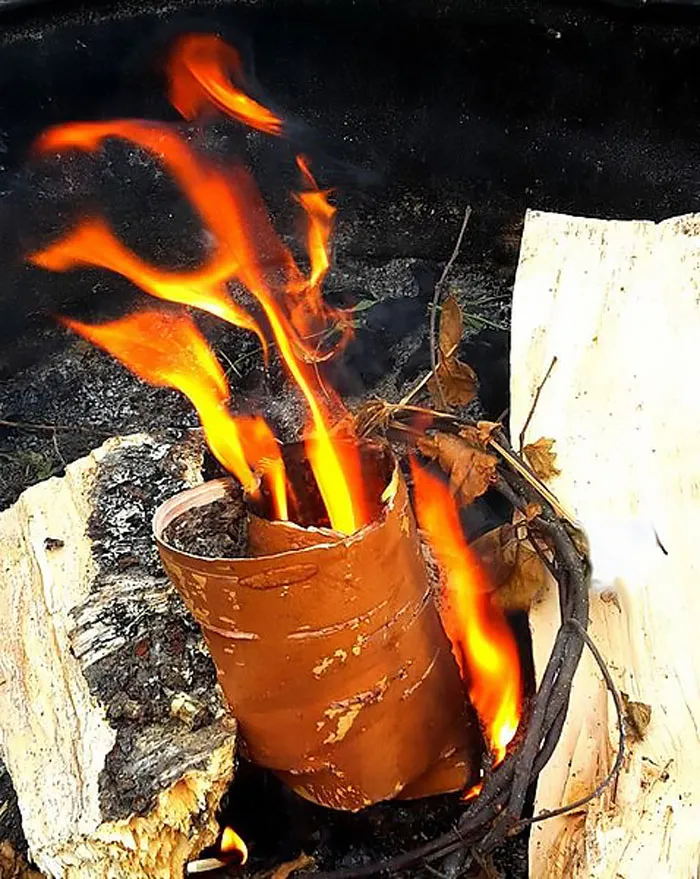 Vikings Used Their Own Liquid To Start Fires
