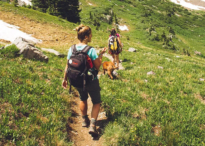 “Prioritize Your Safety First”: 30 Things That May End Up Saving Your Life Or Someone Else’s