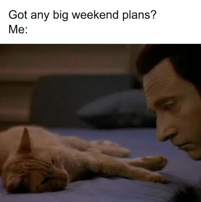 40 Of The Wittiest And Smartest Weekend Memes To Make Your Day