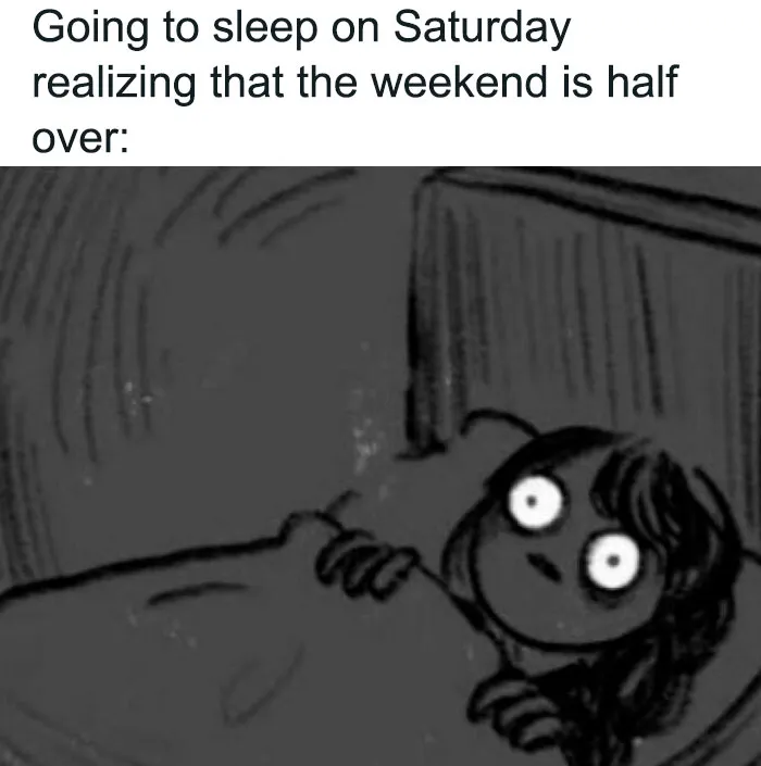 40 Of The Wittiest And Smartest Weekend Memes To Make Your Day