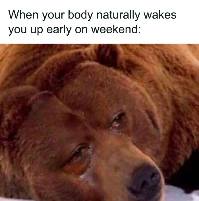 40 Of The Wittiest And Smartest Weekend Memes To Make Your Day