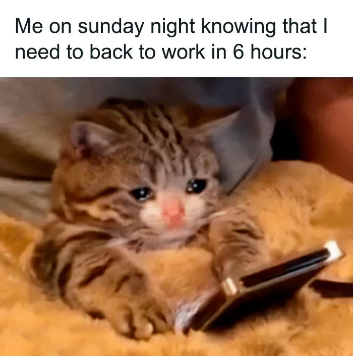 40 Of The Wittiest And Smartest Weekend Memes To Make Your Day
